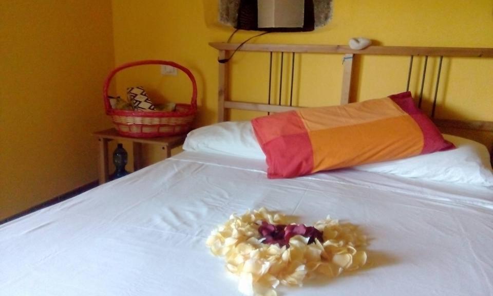 Farmhouse B&B Castagnola 64 Ne Kültér fotó