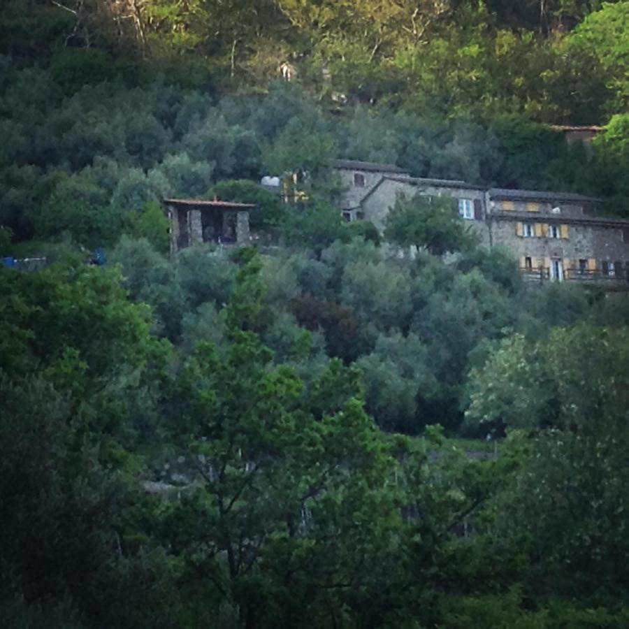 Farmhouse B&B Castagnola 64 Ne Kültér fotó