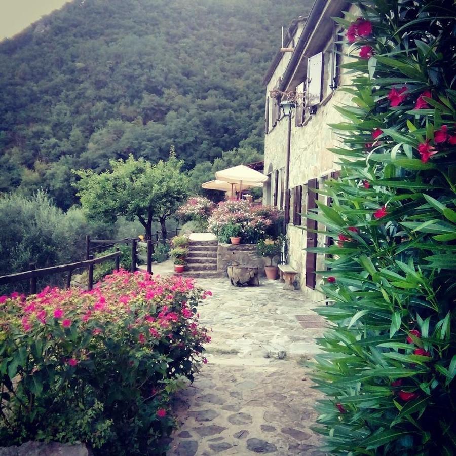 Farmhouse B&B Castagnola 64 Ne Kültér fotó
